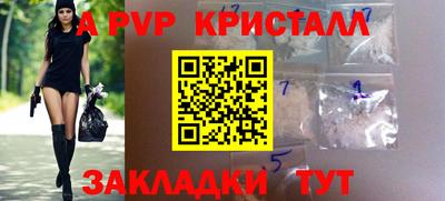 стаф Гай