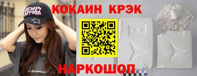 стаф Гай