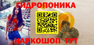 стаф Гай
