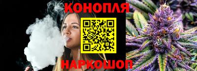 МДПВ Гатчина