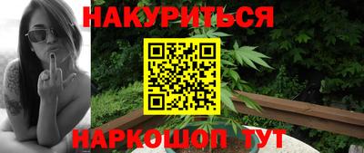 стаф Гай
