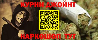 стаф Гай