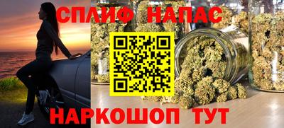 МДПВ Гатчина