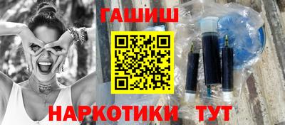 стаф Гай