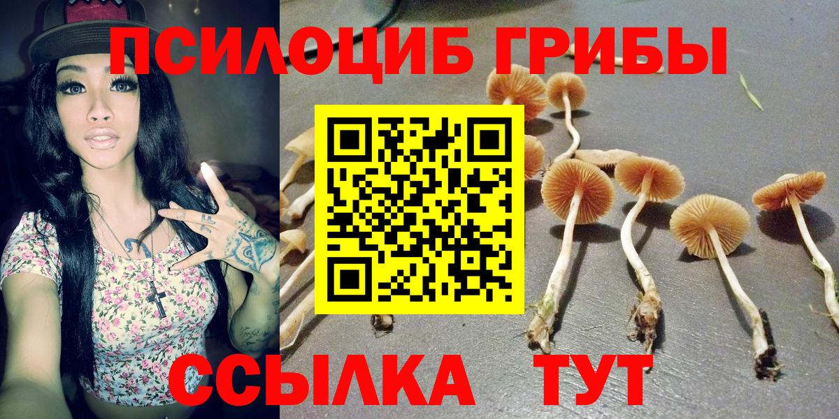 Псилоцибиновые грибы Magic Shrooms  Вход с VPN  Махачкала 